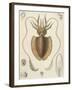 A Squid-null-Framed Giclee Print