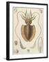 A Squid-null-Framed Giclee Print