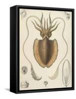 A Squid-null-Framed Stretched Canvas