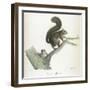 A Squirrel-Werner-Framed Giclee Print