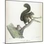 A Squirrel-Werner-Mounted Giclee Print