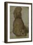 A Squirrel-Giovanni da Udine (Attr to)-Framed Giclee Print