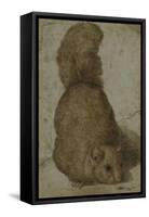 A Squirrel-Giovanni da Udine (Attr to)-Framed Stretched Canvas