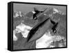 A Sr-71B Blackbird Flying across the Sierra Nevada Mountains-Stocktrek Images-Framed Stretched Canvas