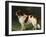 A St. Bernard on the Edge of a Wood-Heinrich Sperling-Framed Giclee Print