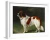 A St. Bernard on the Edge of a Wood-Heinrich Sperling-Framed Giclee Print