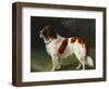 A St. Bernard on the Edge of a Wood-Heinrich Sperling-Framed Giclee Print