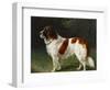 A St. Bernard on the Edge of a Wood-Heinrich Sperling-Framed Giclee Print