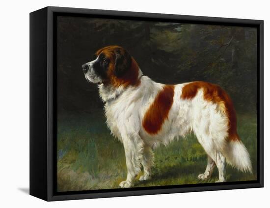 A St. Bernard on the Edge of a Wood-Heinrich Sperling-Framed Stretched Canvas