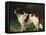 A St. Bernard on the Edge of a Wood-Heinrich Sperling-Framed Stretched Canvas