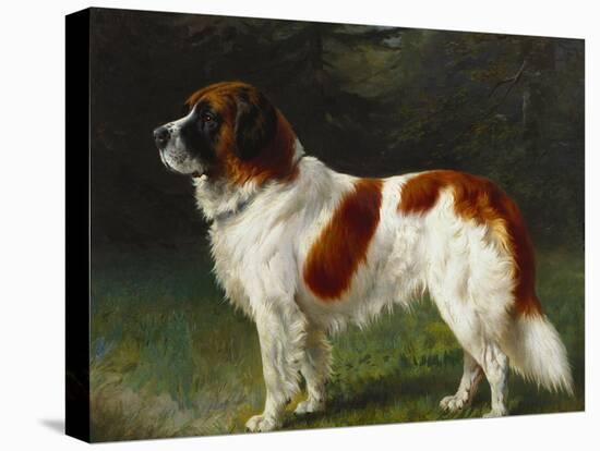 A St. Bernard on the Edge of a Wood-Heinrich Sperling-Stretched Canvas