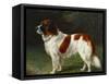 A St. Bernard on the Edge of a Wood-Heinrich Sperling-Framed Stretched Canvas