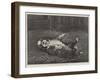 A St Bernard Puppy, the Sleep of Innocence-James E. Bourhill-Framed Giclee Print