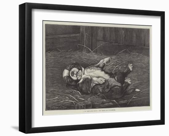 A St Bernard Puppy, the Sleep of Innocence-James E. Bourhill-Framed Giclee Print