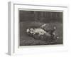 A St Bernard Puppy, the Sleep of Innocence-James E. Bourhill-Framed Giclee Print