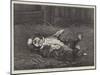 A St Bernard Puppy, the Sleep of Innocence-James E. Bourhill-Mounted Giclee Print