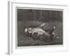 A St Bernard Puppy, the Sleep of Innocence-James E. Bourhill-Framed Giclee Print