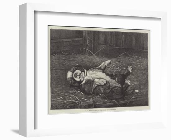 A St Bernard Puppy, the Sleep of Innocence-James E. Bourhill-Framed Giclee Print