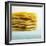 A Stack of Lasagne Sheets-Dave King-Framed Photographic Print