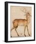 A Stag, 1551-1600 (Pen and Brush in Brown and Black Ink with Brown and Black Wash and White Bodycol-Albrecht Dürer or Duerer-Framed Giclee Print