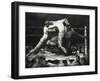 A Stag at Sharkey's, 1947-George Wesley Bellows-Framed Giclee Print