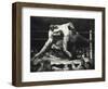 A Stag at Sharkey's, 1947-George Wesley Bellows-Framed Premium Giclee Print
