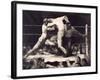 A Stag at Sharkey'S-George Wesley Bellows-Framed Giclee Print