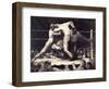 A Stag at Sharkey'S-George Wesley Bellows-Framed Giclee Print