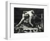 A Stag at Sharkey's-George Wesley Bellows-Framed Giclee Print