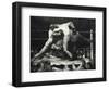 A Stag at Sharkey's-George Wesley Bellows-Framed Premium Giclee Print