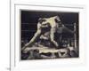 A Stag at Sharkey'S-George Wesley Bellows-Framed Giclee Print