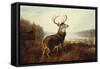A Stag by a Lake-Arthur Fitzwilliam Tait-Framed Stretched Canvas