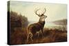 A Stag by a Lake-Arthur Fitzwilliam Tait-Stretched Canvas