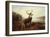 A Stag by a Lake-Arthur Fitzwilliam Tait-Framed Giclee Print