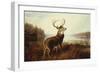 A Stag by a Lake-Arthur Fitzwilliam Tait-Framed Giclee Print