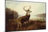A Stag by a Lake-Arthur Fitzwilliam Tait-Mounted Giclee Print