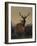 A Stag with a Deer in a Wooded Landscape at Sunset, 1865 watercolor-Carl Friedrich Deiker-Framed Giclee Print