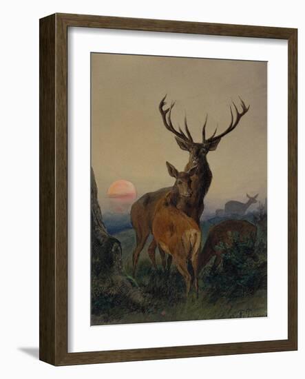 A Stag with a Deer in a Wooded Landscape at Sunset, 1865 watercolor-Carl Friedrich Deiker-Framed Giclee Print