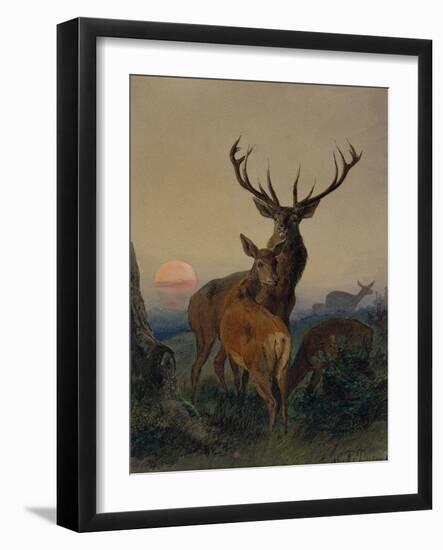 A Stag with a Deer in a Wooded Landscape at Sunset, 1865 watercolor-Carl Friedrich Deiker-Framed Giclee Print