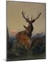 A Stag with a Deer in a Wooded Landscape at Sunset, 1865 watercolor-Carl Friedrich Deiker-Mounted Giclee Print
