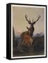 A Stag with Deer in a Wooded Landscape at Sunset, 1865-Charles Jones-Framed Stretched Canvas