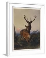 A Stag with Deer in a Wooded Landscape at Sunset, 1865-Charles Jones-Framed Giclee Print