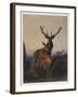 A Stag with Deer in a Wooded Landscape at Sunset, 1865-Charles Jones-Framed Giclee Print