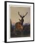 A Stag with Deer in a Wooded Landscape at Sunset, 1865-Charles Jones-Framed Giclee Print