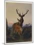 A Stag with Deer in a Wooded Landscape at Sunset, 1865-Charles Jones-Mounted Giclee Print
