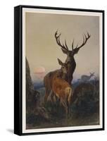 A Stag with Deer in a Wooded Landscape at Sunset, 1865-Charles Jones-Framed Stretched Canvas