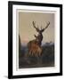 A Stag with Deer in a Wooded Landscape at Sunset, 1865-Charles Jones-Framed Giclee Print