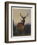 A Stag with Deer in a Wooded Landscape at Sunset, 1865-Charles Jones-Framed Giclee Print