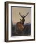 A Stag with Deer in a Wooded Landscape at Sunset-Carl Friedrich Deiker-Framed Giclee Print