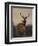 A Stag with Deer in a Wooded Landscape at Sunset-Carl Friedrich Deiker-Framed Giclee Print